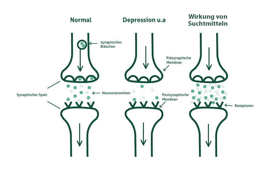 neurotransmitter_im_Gehirn_Klinik-Friedenweiler_angepasst