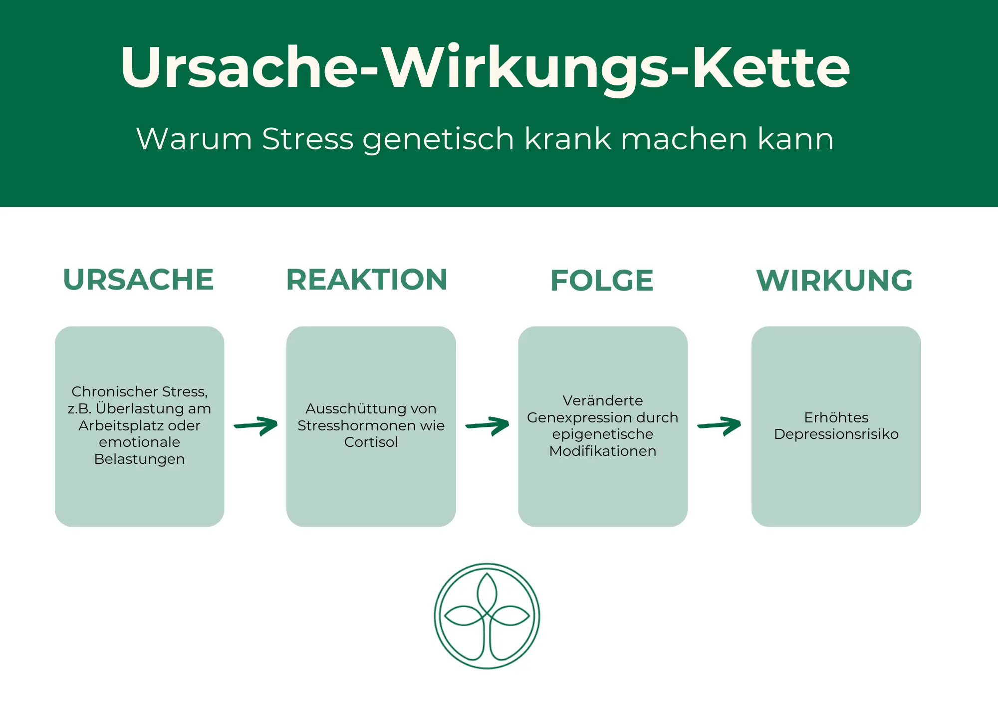 Flusssdiagramm Wirkungs Kette