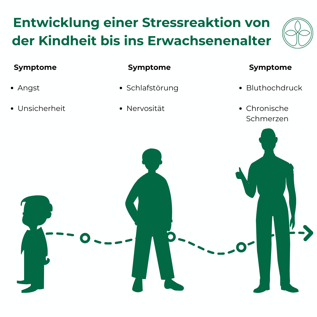 KFW Stressregulation Entwicklung Stressregulation Entwicklung