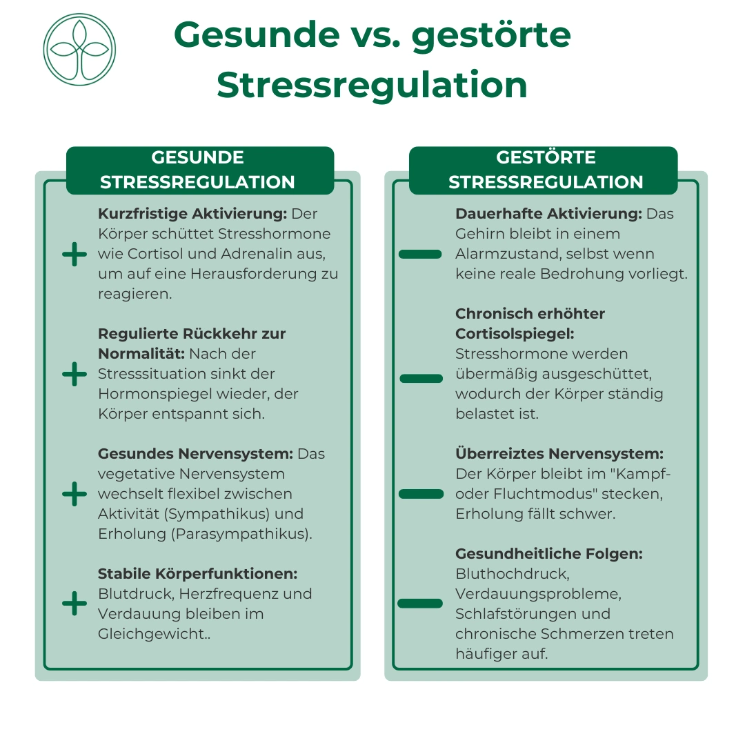 KFW Stressregulation Stressregulation Grafik Gesunde vs gestörte