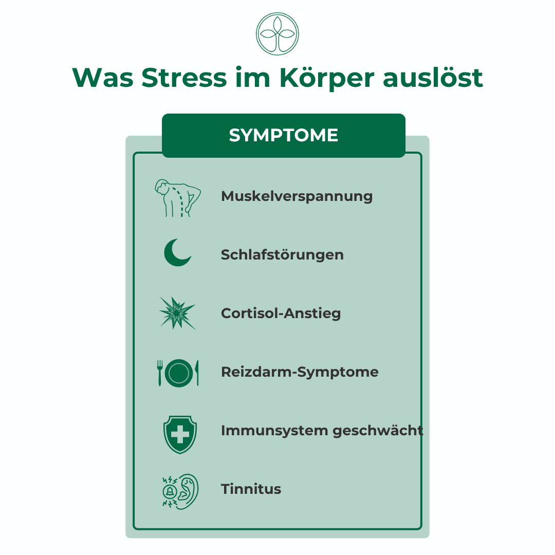 Stress Symptome