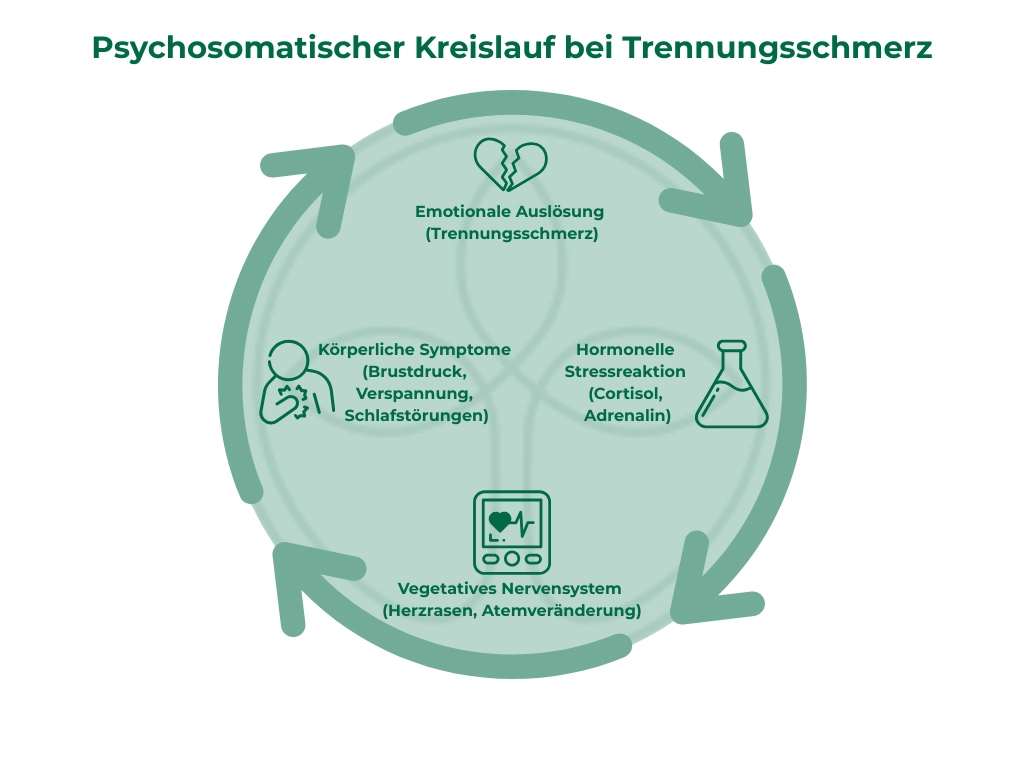 Psychosomatischer Kreislauf bei Trennungsschmerz