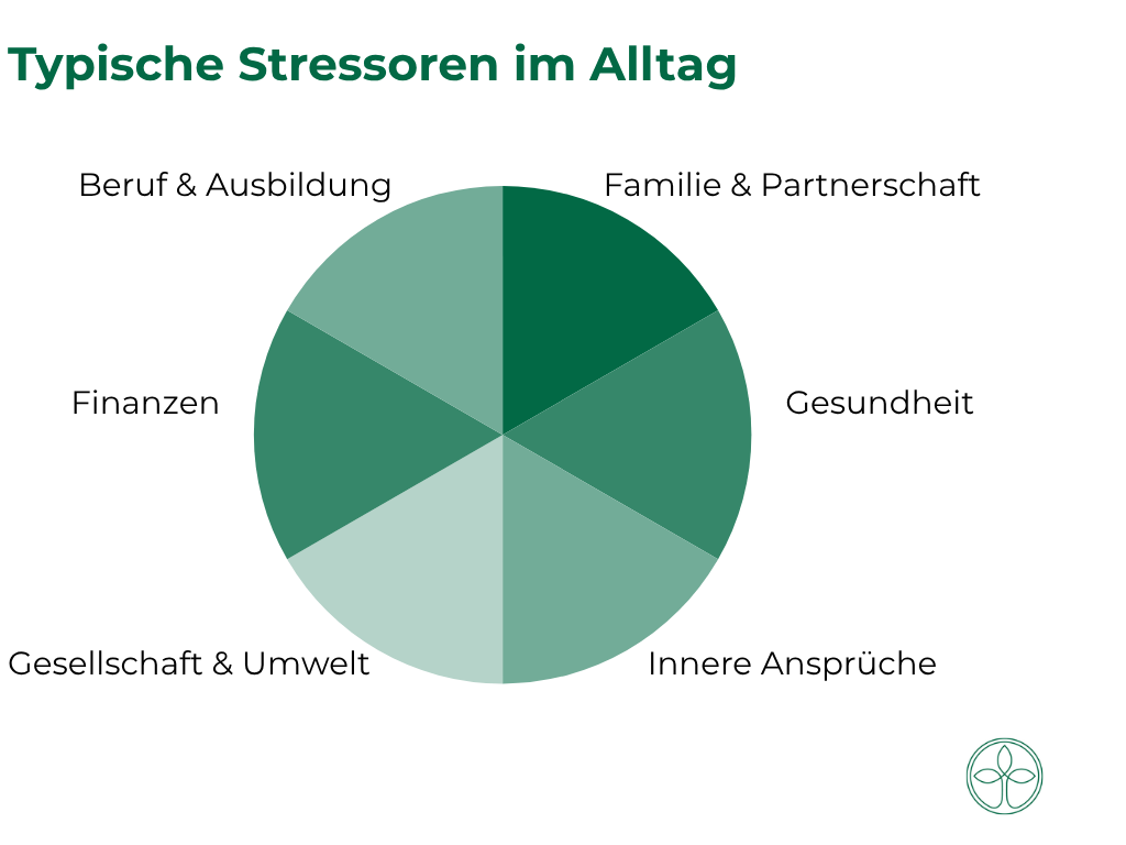 Stress & Cortisol – psychische Belastung erkennen und bewältigen(6) Stress & Cortisol – psychische Belastung erkennen und bewältigen(6)