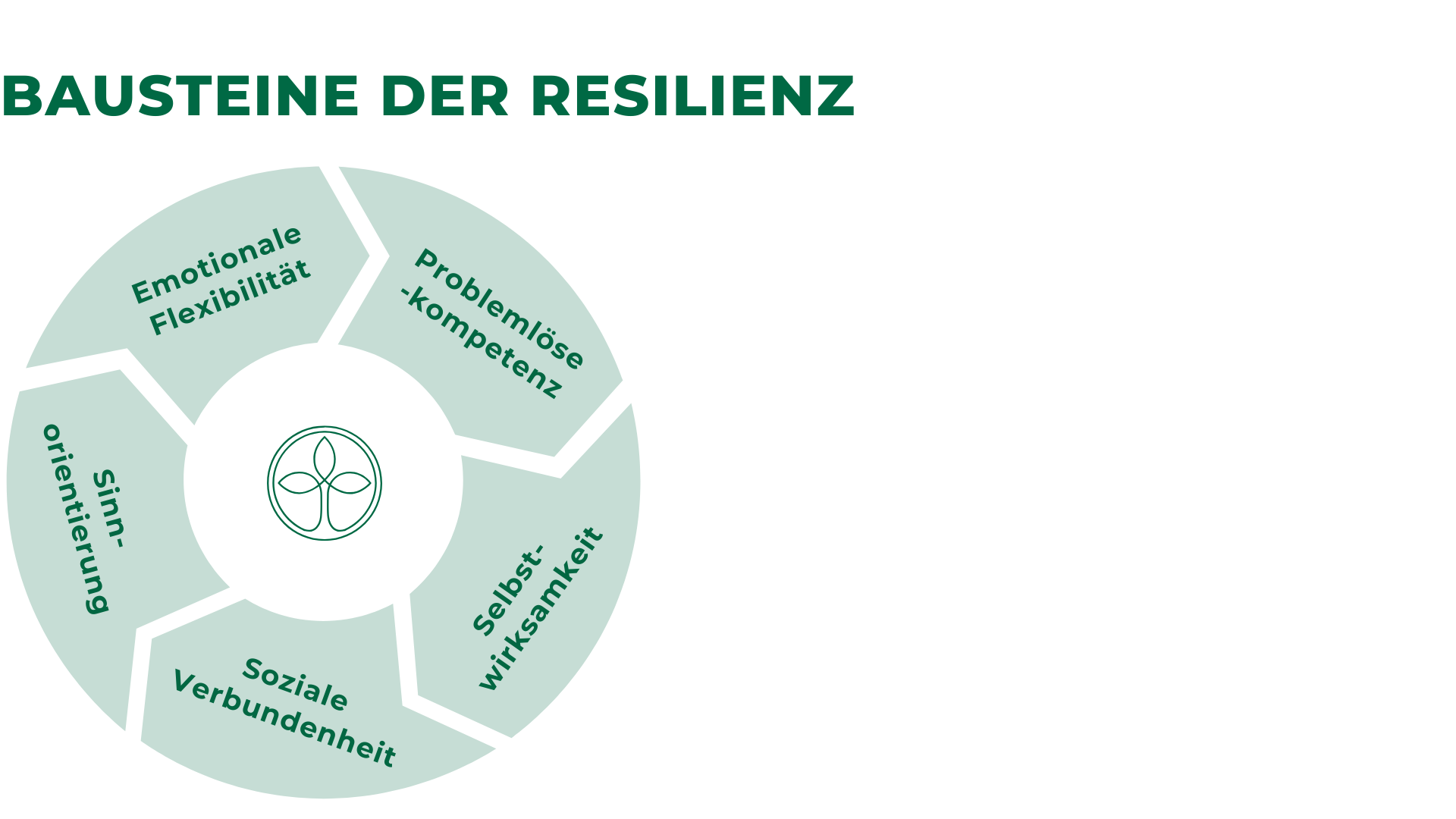 Resilienzstrategien für Lebensübergänge – Wie Sie innere Stärke in Wandelphasen entwickeln(1)