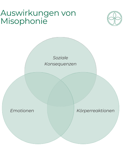Auswirkungen von Misophonie_KFW(3) Auswirkungen von Misophonie_KFW(3)
